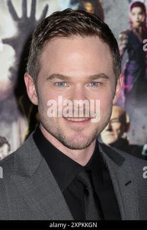 Shawn Ashmore 3