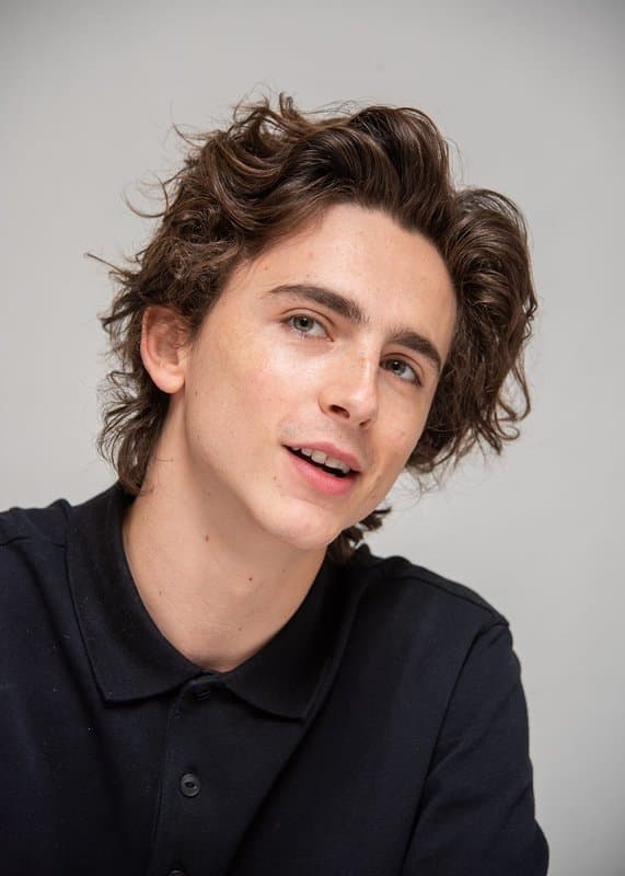 Timothée Chalamet 3